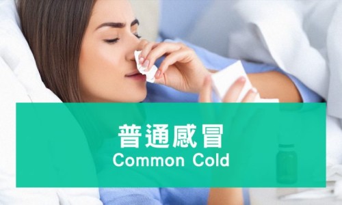 早孕期间吃酵素梅有影响吗-早孕期间吃酵素梅网 :分享早孕期间吃酵素梅有影响吗-孕妇吃了酵素梅对胎儿有影响吗知识