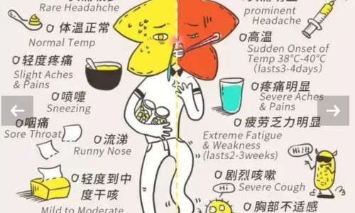 早孕期间吃酵素梅有影响吗-早孕期间吃酵素梅网 :分享早孕期间吃酵素梅有影响吗-孕妇吃了酵素梅对胎儿有影响吗知识
