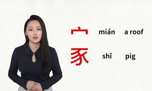 早孕期间吃酵素梅网 :分享早孕期间吃酵素梅有影响吗-孕妇吃了酵素梅对胎儿有影响吗知识